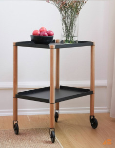 CONNECT TABLE