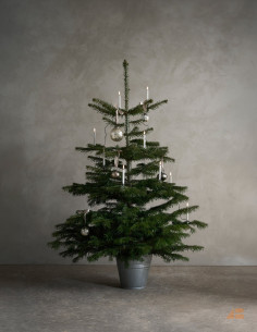 JULETRÆSKÆDE 24 LYS