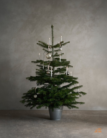 JULETRÆSKÆDE 24 LYS