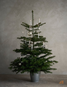 JULETRÆSKÆDE 14 LYS