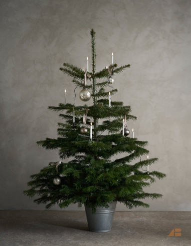 JULETRÆSKÆDE 14 LYS