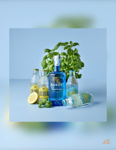 GIN & TONIC - BIVROST