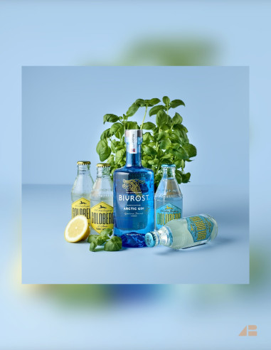 GIN & TONIC - BIVROST