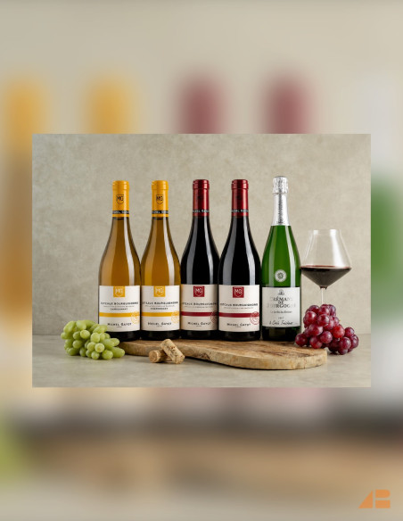 BOURGOGNE VINPAKKE 3