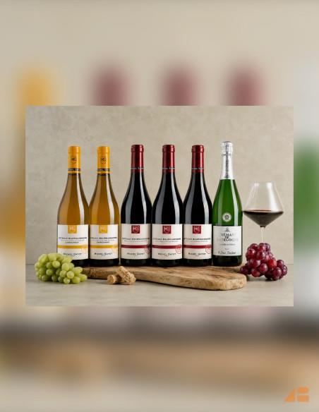 BOURGOGNE VINPAKKE 4